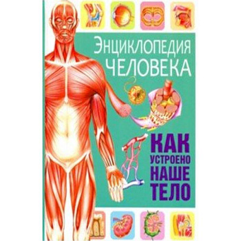 Энциклопедия человека. Как устроено наше тело Энциклопедия человека. Как устроено наше тело