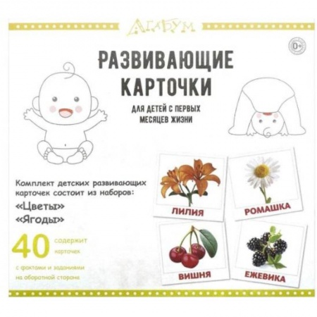 Познавательная литература, книга Развивающие карточки 'Цветы и ягоды' (40 карточек) заказать