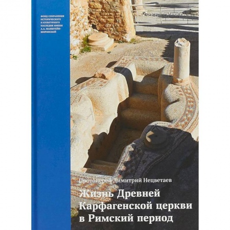 Религиоведение. История религий, книга Жизнь Древней Карфагенской церкви в Римский период заказать