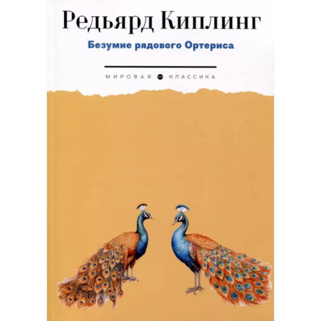 Зарубежная классика, книга Безумие рядового Ортериса заказать