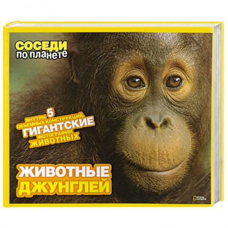 Книги, книга Животные джунглей заказать