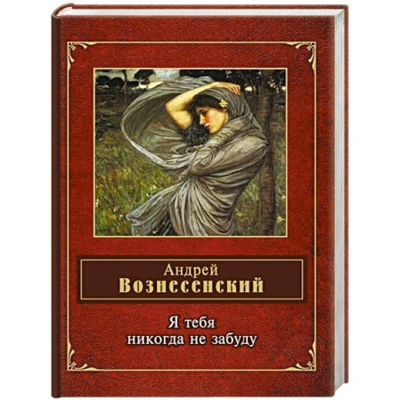 Книги, книга Я тебя никогда не забуду заказать