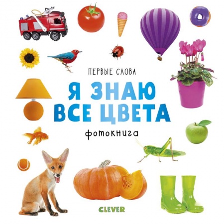 Знакомство с миром, развитие малыша, книга Первые слова. Я знаю все цвета. Фотокнига заказать