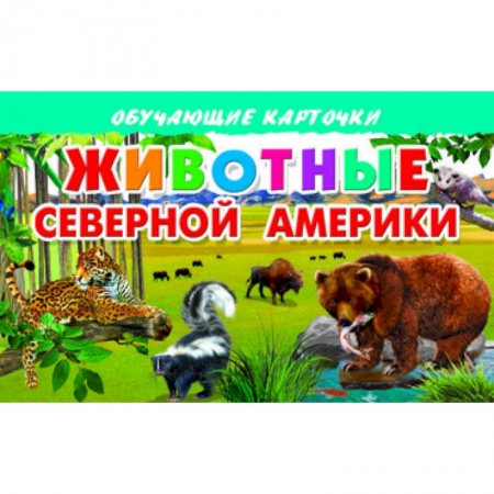 Книги, книга Карточки. Животные Северной Америки заказать