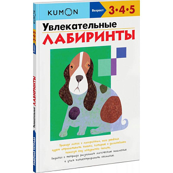 Увлекательные лабиринты