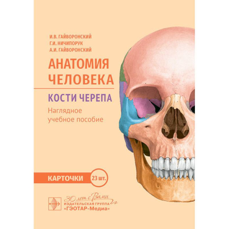 Анатомия и физиология человека, книга Анатомия человека. Кости черепа. Карточки + кольцо для стяжки карточек: наглядное учебное пособие заказать
