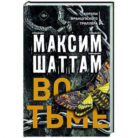 Зарубежный детектив, книга Во тьме заказать