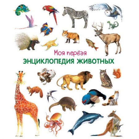 Животный и растительный мир, книга Моя первая энциклопедия животных заказать