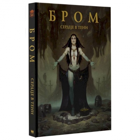 Живопись, книга Сердце в тени заказать