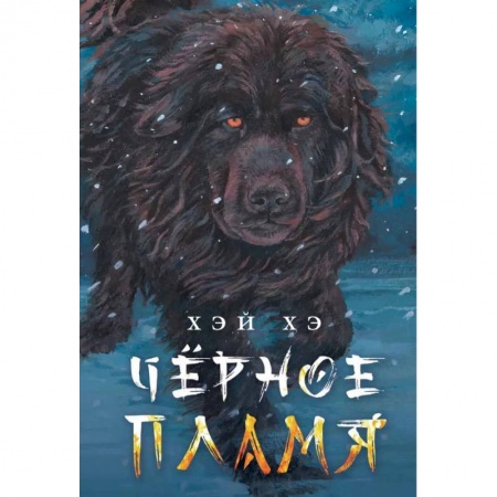 Зарубежная литература для детей, книга Черное пламя заказать