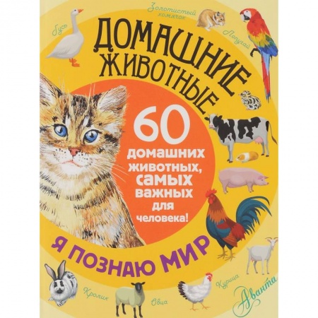 Книги, книга Домашние животные. 60 домашних животных, самых важных для человека заказать