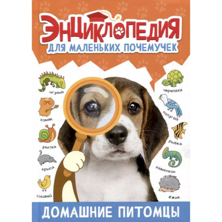 Животный и растительный мир, книга Домашние питомцы заказать