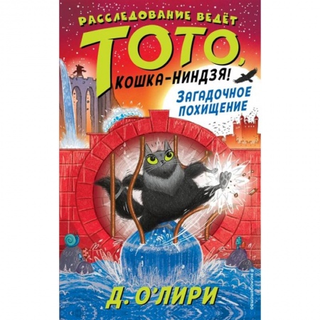 Приключения. Детективы, книга Загадочное похищение заказать
