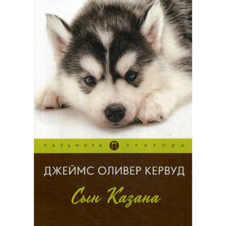 Зарубежная современная проза, книга Сын Казана заказать