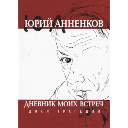 Дневники. Письма. Записки, книга Дневник моих встреч. Цикл трагедий заказать