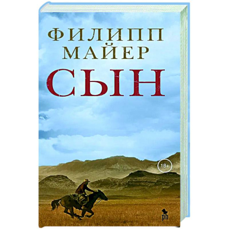 Зарубежная современная проза, книга Сын заказать