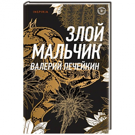 Русская современная проза, книга Злой мальчик заказать