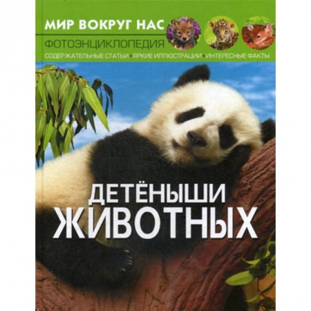 Животный и растительный мир, книга Мир вокруг нас. Детеныши животных заказать
