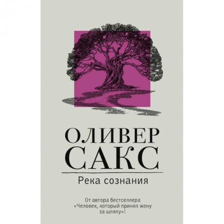 Психология. Общие работы, книга Река сознания заказать
