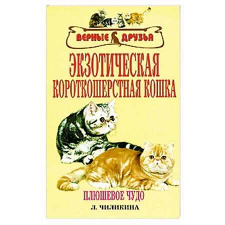 Книги, книга Экзотическая короткошерстная кошка заказать