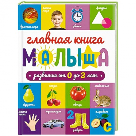Знакомство с миром, развитие малыша, книга Главная книга малыша заказать