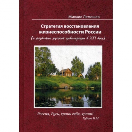 История, биография, мемуары, книга Стратегия восстановления жизнеспособности России (к развитию русской цивилизации в ХХI веке) заказать