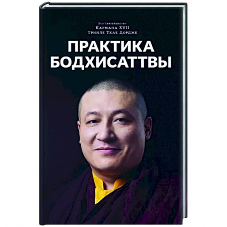 Религии мира, книга Практика Бодхисаттвы заказать