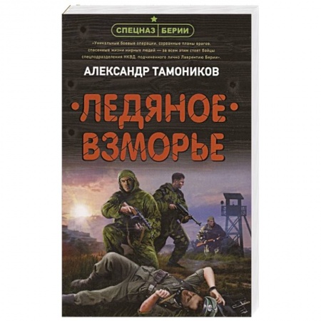 Боевики, военные, книга Ледяное взморье заказать