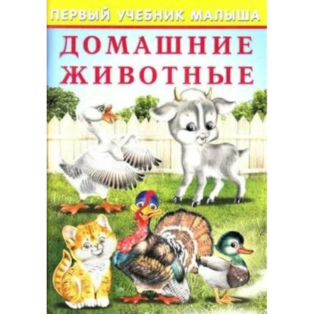 Знакомство с миром, развитие малыша, книга Домашние животные заказать