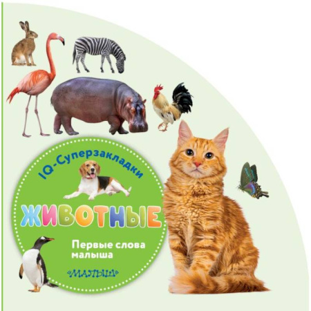 Животный и растительный мир, книга Животные заказать