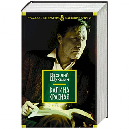 Русская современная проза, книга Калина красная заказать