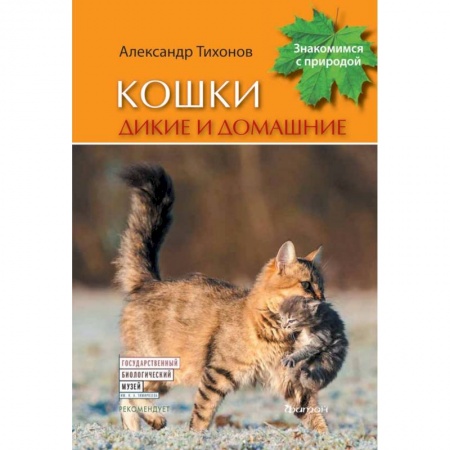 Кошки, книга Кошки дикие и домашние заказать