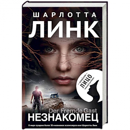 Зарубежный детектив, книга Незнакомец заказать