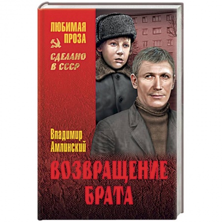 Книги, книга Возвращение брата заказать