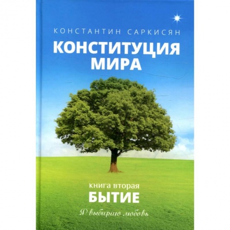 Русская современная проза, книга Конституция мира. Бытие. Книга 2 заказать