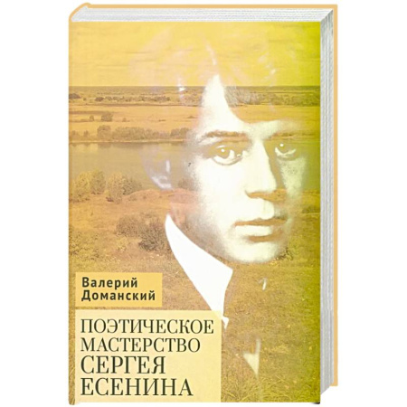 Литература, книга Поэтическое мастерство Сергея Есенина заказать