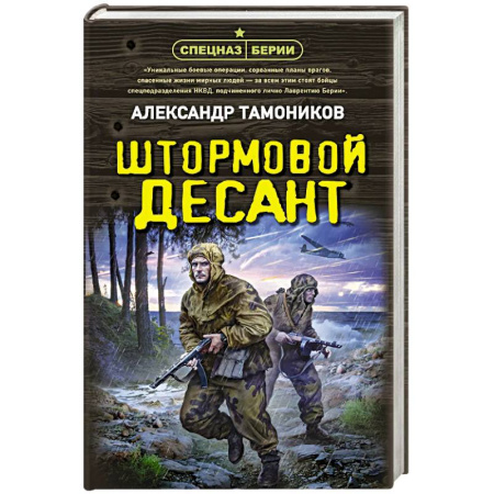 Боевики, военные, книга Штормовой десант заказать