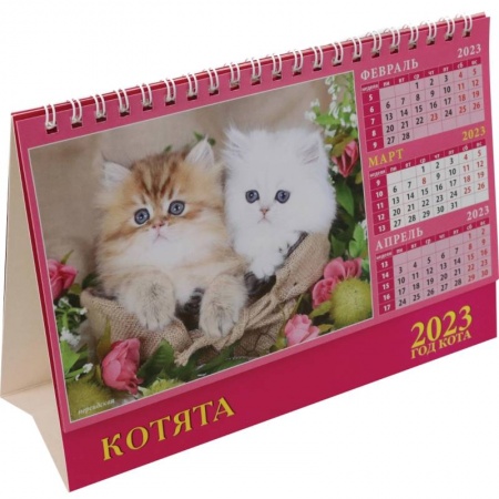 Книги, книга Календарь Год кота. Котята на 2023 год заказать