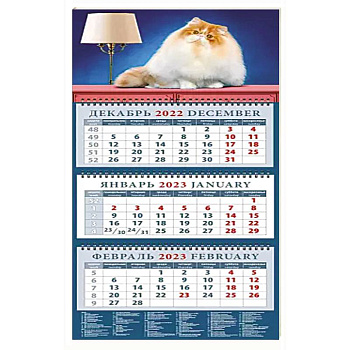 Календарь на 2023 год. Год кота. Пушистый красавчик Календарь на 2023 год. Год кота. Пушистый красавчик