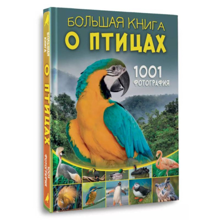 Животный и растительный мир, книга Большая книга о птицах. 1001 фотография заказать