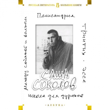 Русская современная проза, книга Школа для дураков. Между собакой и волком. Палисандрия. Эссе. Триптих заказать