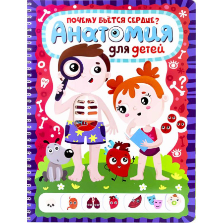 Человек. Земля. Вселенная, книга Анатомия заказать