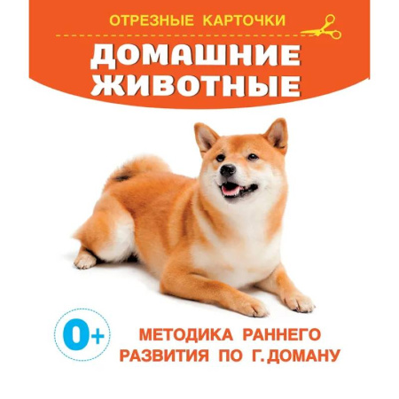 Знакомство с миром, развитие малыша, книга Домашние животные заказать
