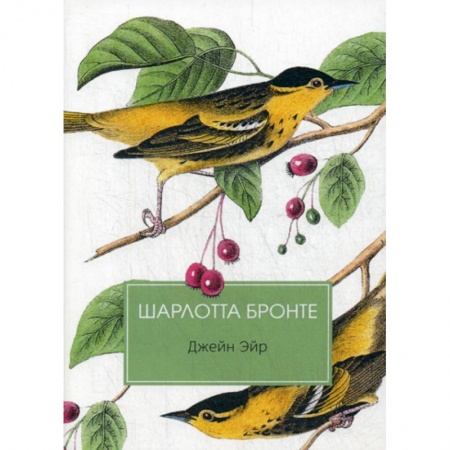 Зарубежная современная проза, книга Джейн Эйр заказать