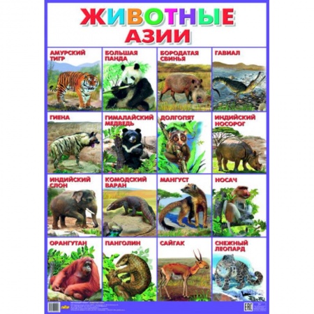 Книги, книга Плакат. Животные Азии (550х770) заказать