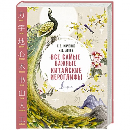 Китайский язык, книга Все самые важные китайские иероглифы заказать