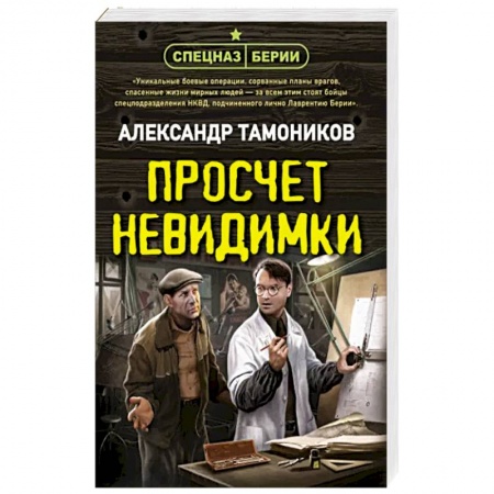Исторический детектив, книга Просчет невидимки заказать