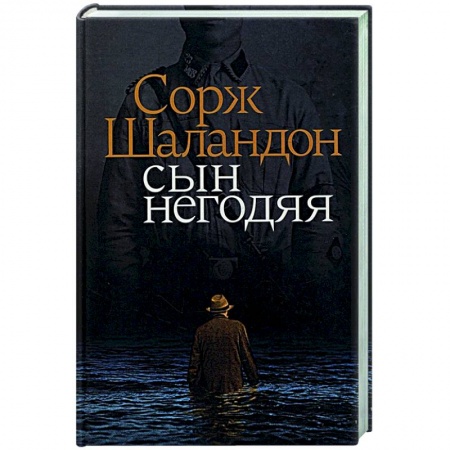 Исторический роман, книга Сын негодяя заказать