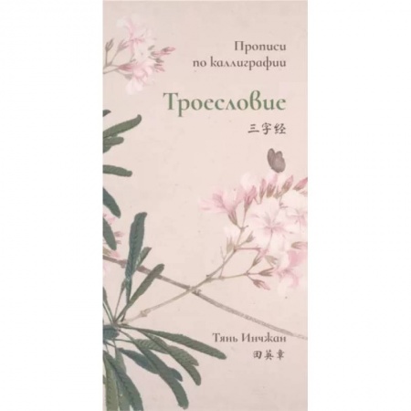 Учебники, самоучители, пособия, книга Сто фамилий. Прописи по каллиграфии заказать