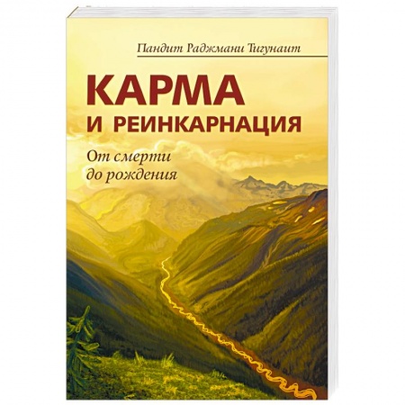 Книги, книга Карма и реинкарнация. От смерти до рождения заказать